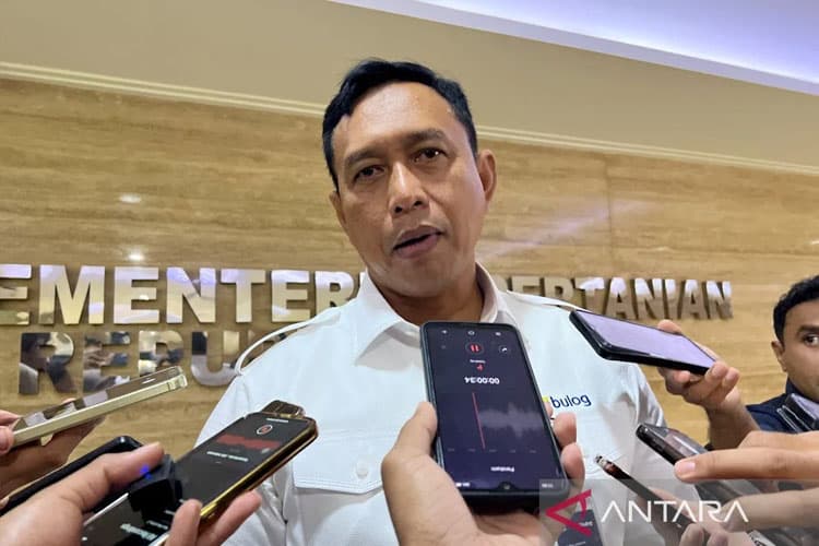 Skema Baru, Bulog Janji Minyakita Langsung ke Warung Tanpa Perantara